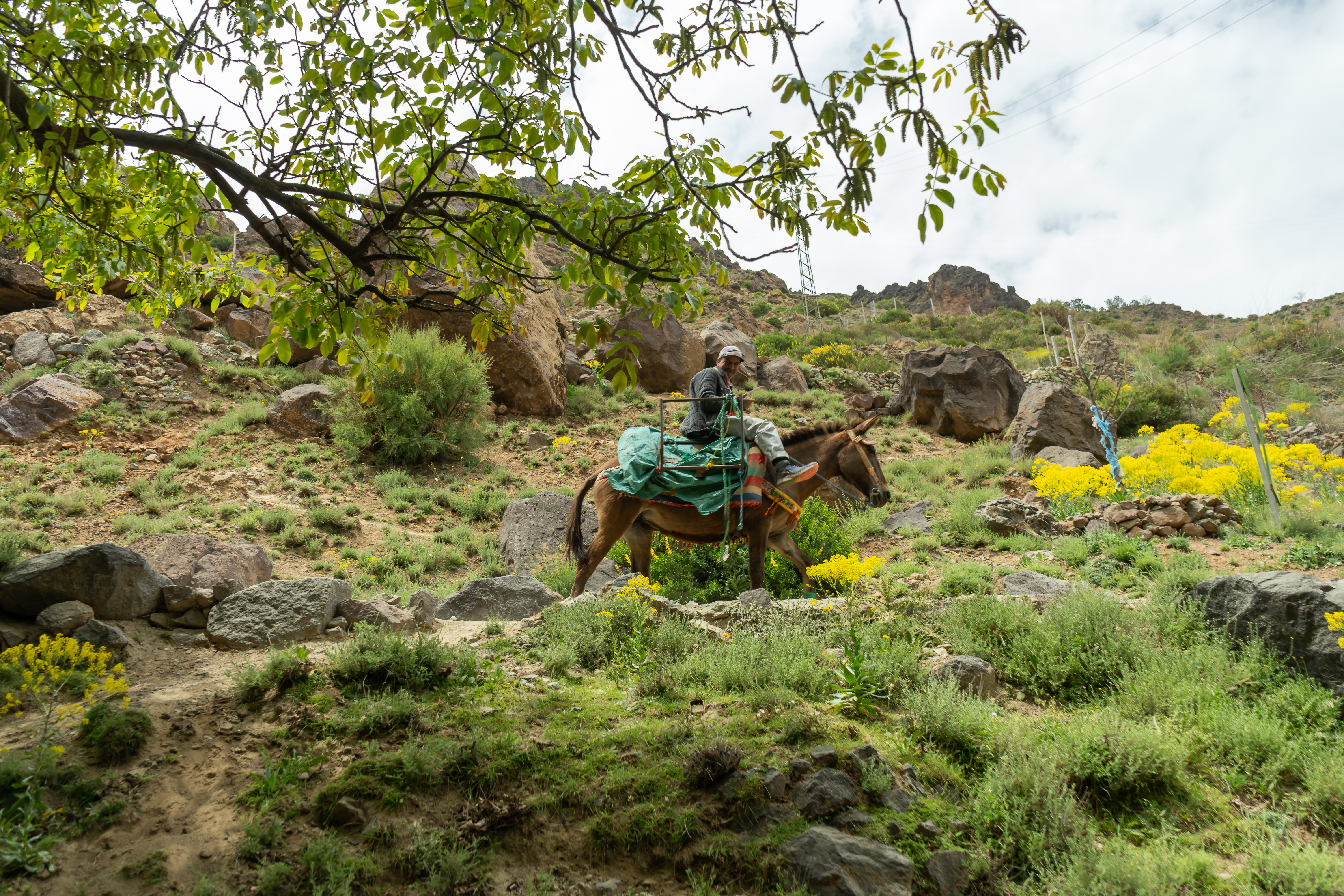 Marrakech Medina, Luxury Travel Morocco